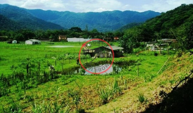 Imagem Fazenda à Venda, 55 m² em Camburi - São Sebastião Imagem Fazenda à Venda, 55 m² em Camburi - São Sebastião