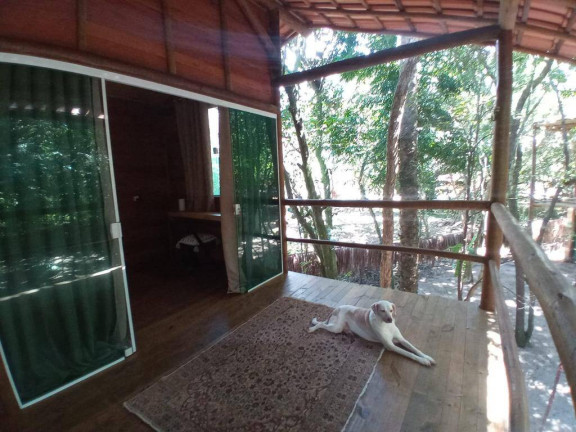 Imagem Casa à Venda,  em Algodões - Marau