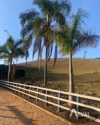 Imagem Fazenda à Venda, 900 m² em Morro Grande - Piranguinho