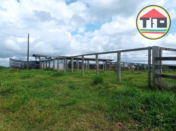 Imagem Fazenda à Venda, 16.456.000 m² em Zona Rural - Bom Jesus Do Tocantins