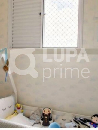 Imagem Apartamento com 3 Quartos à Venda, 62 m² em Vila Guilherme - São Paulo Imagem Apartamento com 3 Quartos à Venda, 62 m² em Vila Guilherme - São Paulo