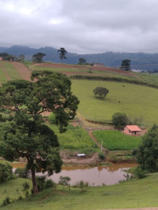 Imóvel com 4 Quartos à Venda, 300 m² em Real - Caldas