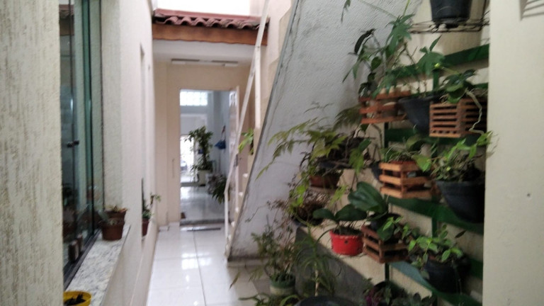Imagem Sobrado com 3 Quartos à Venda, 250 m² em Santa Terezinha - São Bernardo Do Campo