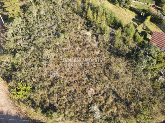 Imagem Terreno à Venda, 1.010 m² em Região Do Imbiri - Campos Do Jordão Imagem Terreno à Venda, 1.010 m² em Região Do Imbiri - Campos Do Jordão