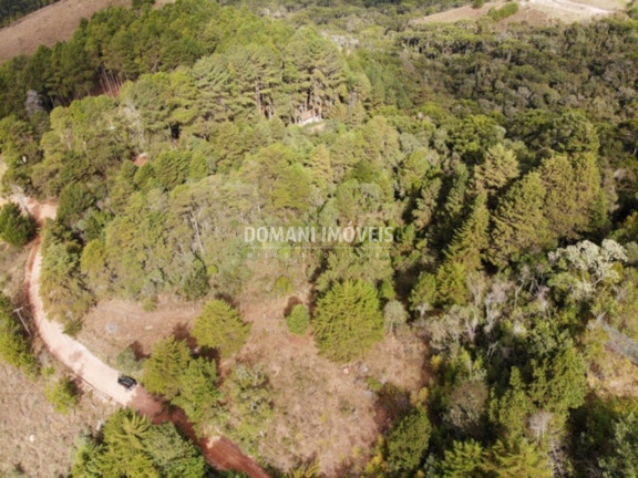Imagem Imóvel à Venda, 10.050 m² em Região De Descansópolis - Campos Do Jordão