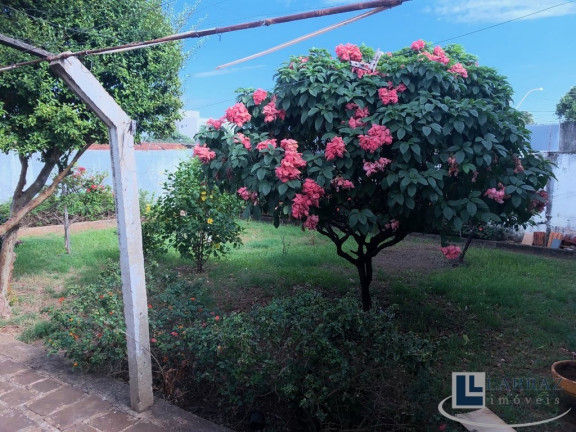 Imagem Casa com 4 Quartos à Venda, 295 m² em Campos Elíseos - Ribeirão Preto Imagem Casa com 4 Quartos à Venda, 295 m² em Campos Elíseos - Ribeirão Preto