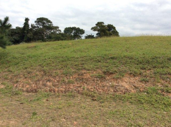 Imagem Terreno à Venda, 500 m² em Santa Adélia - Vargem Grande Paulista