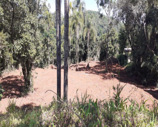 Imagem Imóvel à Venda, 1.350 m² em Pousada Da Neve - Nova Petrópolis