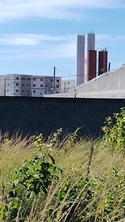 Imagem Terreno à Venda, 250 m² em Santa Cruz - Rio De Janeiro Imagem Terreno à Venda, 250 m² em Santa Cruz - Rio De Janeiro