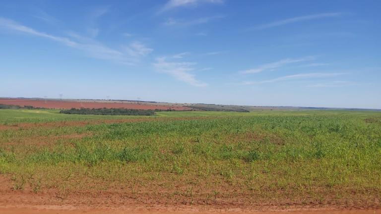 Imagem Chácara à Venda, em Zona Rural - Aparecida Do Taboado Imagem Chácara à Venda, em Zona Rural - Aparecida Do Taboado