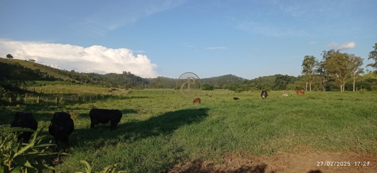 Imagem Fazenda à Venda, 1.010.000 m² em Jardim São Dimas - São José Dos Campos Imagem Fazenda à Venda, 1.010.000 m² em Jardim São Dimas - São José Dos Campos