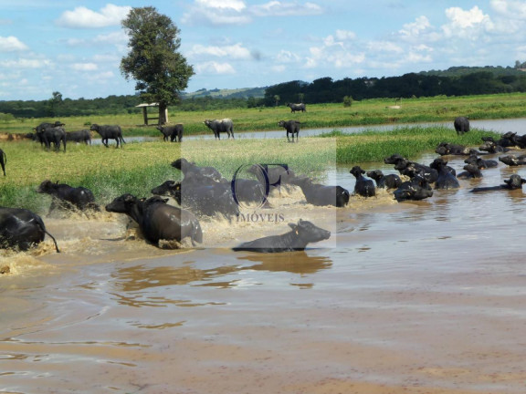 Imagem Fazenda à Venda, 297 m² em Rural - Santana Do Itararé Imagem Fazenda à Venda, 297 m² em Rural - Santana Do Itararé