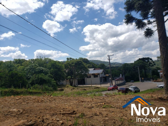 Imagem Imóvel à Venda, 1.334 m² em Piá - Nova Petrópolis Imagem Imóvel à Venda, 1.334 m² em Piá - Nova Petrópolis