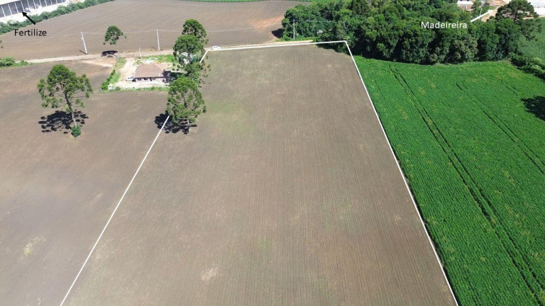 Imagem Fazenda à Venda, 19.400 m² em Tranqueira - Almirante Tamandare Imagem Fazenda à Venda, 19.400 m² em Tranqueira - Almirante Tamandare
