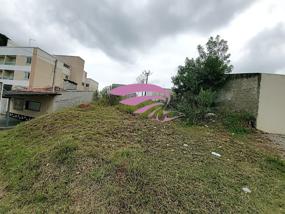 Imagem Terreno à Venda, 500 m² em Bom Jesus - São José Dos Pinhais Imagem Terreno à Venda, 500 m² em Bom Jesus - São José Dos Pinhais