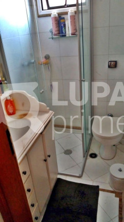 Imagem Apartamento com 3 Quartos à Venda, 68 m² em Vila Gustavo - São Paulo Imagem Apartamento com 3 Quartos à Venda, 68 m² em Vila Gustavo - São Paulo