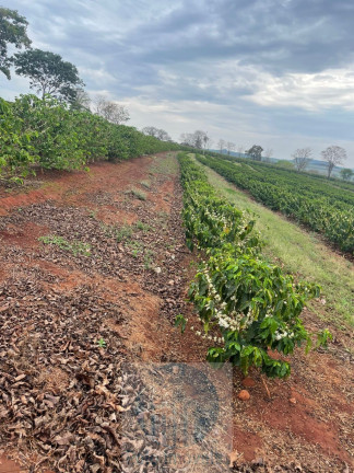 Imagem Imóvel com 3 Quartos à Venda, 11 m² em Rural - São Sebastião Do Paraíso Imagem Imóvel com 3 Quartos à Venda, 11 m² em Rural - São Sebastião Do Paraíso