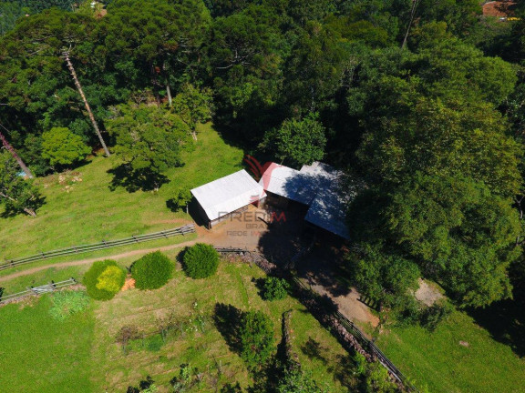 Imagem Imóvel à Venda, 69.000 m² em Zona Rural - Morro Reuter Imagem Imóvel à Venda, 69.000 m² em Zona Rural - Morro Reuter