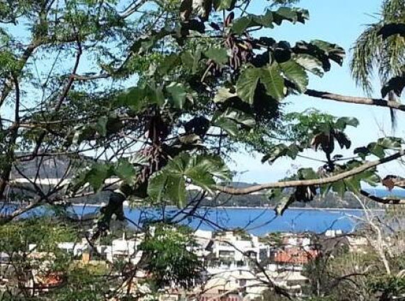 Imagem Casa com 3 Quartos à Venda, em Canto Da Lagoa - Florianópolis Imagem Casa com 3 Quartos à Venda, em Canto Da Lagoa - Florianópolis