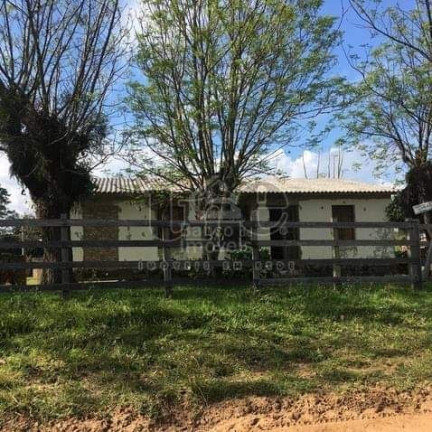 Imagem Imóvel com 3 Quartos à Venda, 62.000 m² em Zona Rural - Formigueiro