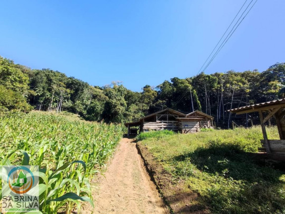 Imagem Fazenda à Venda, 250 m² em Vila Itoupava - Blumenau Imagem Fazenda à Venda, 250 m² em Vila Itoupava - Blumenau