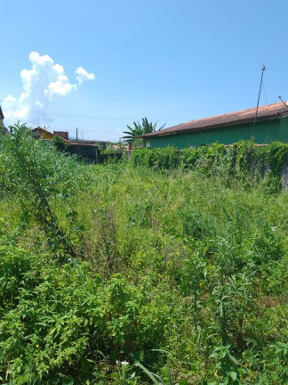 Imagem Terreno à Venda, 125 m² em Jussara - Mongaguá Imagem Terreno à Venda, 125 m² em Jussara - Mongaguá