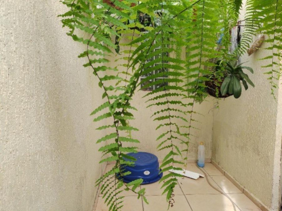 Imagem Sobrado com 4 Quartos à Venda, 250 m² em Penha De França - São Paulo Imagem Sobrado com 4 Quartos à Venda, 250 m² em Penha De França - São Paulo