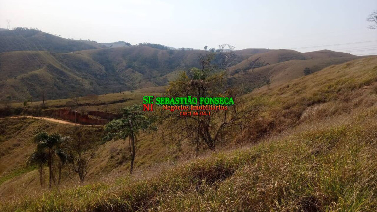 Imagem Chácara com 2 Quartos à Venda, 1.200.000 m² em Centro - Caçapava
