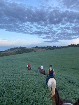Imagem Fazenda à Venda, 120 m² em Zona Rural - Cruzília Imagem Fazenda à Venda, 120 m² em Zona Rural - Cruzília