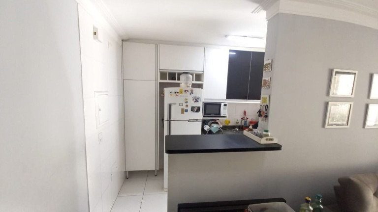 Imagem Apartamento com 3 Quartos à Venda, 77 m² em Butantã - São Paulo