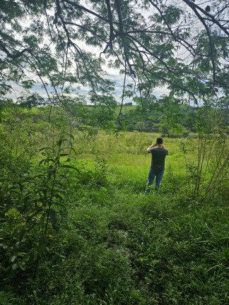 Imagem Chácara à Venda, 2 m² em Arapongas Imagem Chácara à Venda, 2 m² em Arapongas