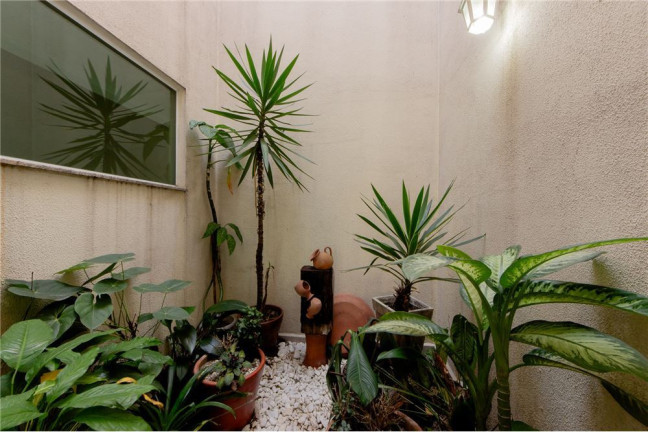 Imagem Casa com 3 Quartos à Venda,  em Guilhermina Esperança - São Paulo