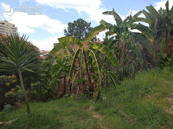Imagem Imóvel com 3 Quartos à Venda, 2.189 m² em Jardim Maria José - Votorantim Imagem Imóvel com 3 Quartos à Venda, 2.189 m² em Jardim Maria José - Votorantim