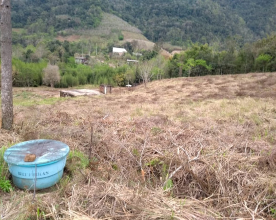 Imagem Imóvel à Venda, em Sebastapol - Nova Petrópolis Imagem Imóvel à Venda, em Sebastapol - Nova Petrópolis