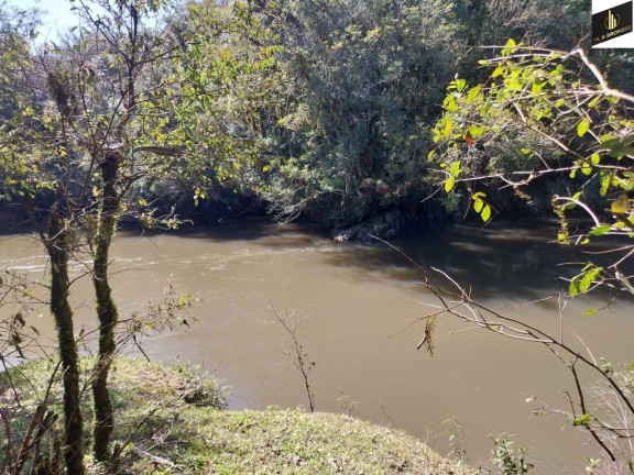Imagem Imóvel com 5 Quartos à Venda, 30.000 m² em Margens Ro Da Varzea - Quitandinha