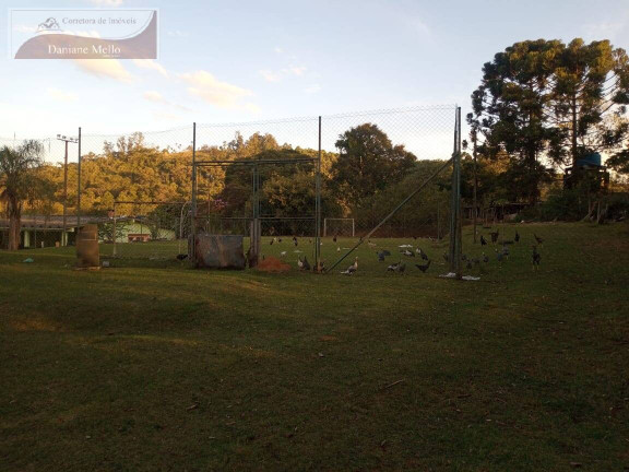 Imagem Chácara com 3 Quartos à Venda, 11.000 m² em Mãe Dos Homens - Bragança Paulista