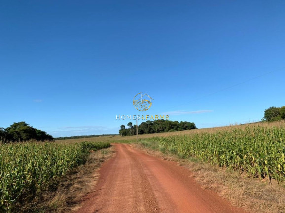 Imagem Imóvel com 3 Quartos à Venda, 3.700 m² em Centro - Nobres Imagem Imóvel com 3 Quartos à Venda, 3.700 m² em Centro - Nobres