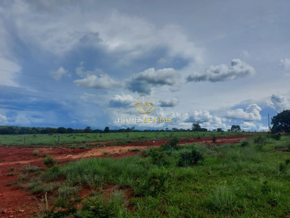 Imagem Imóvel com 3 Quartos à Venda, 45.500 m² em Zona Rural - Minaçu Imagem Imóvel com 3 Quartos à Venda, 45.500 m² em Zona Rural - Minaçu