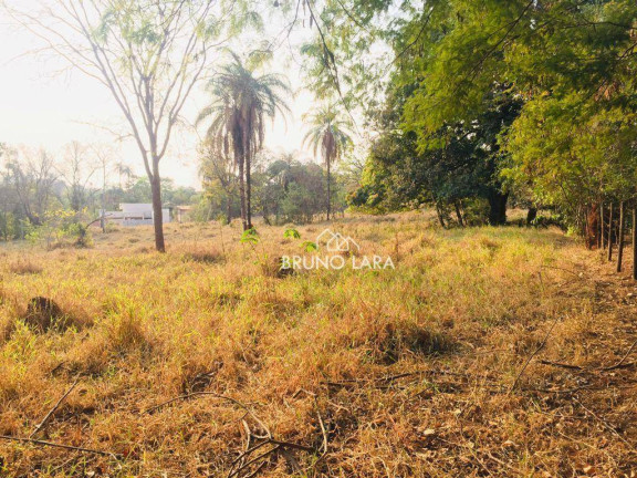 Imagem Imóvel à Venda, 12.000 m² em Cidade Nova - Igarapé Imagem Imóvel à Venda, 12.000 m² em Cidade Nova - Igarapé