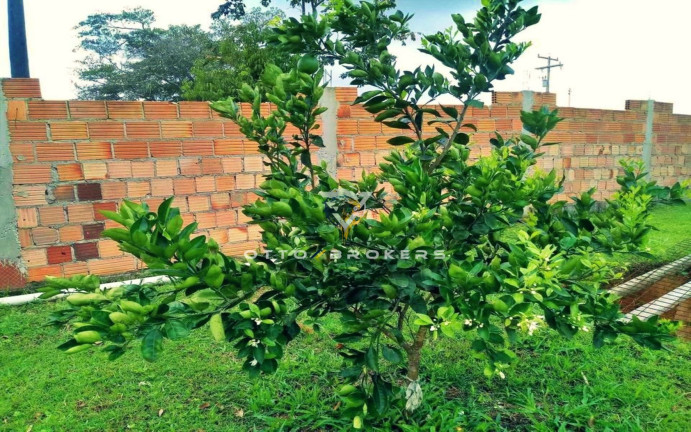 Imagem Terreno à Venda, 2.170 m² em Imbiruçu De Dentro - Porto Seguro Imagem Terreno à Venda, 2.170 m² em Imbiruçu De Dentro - Porto Seguro