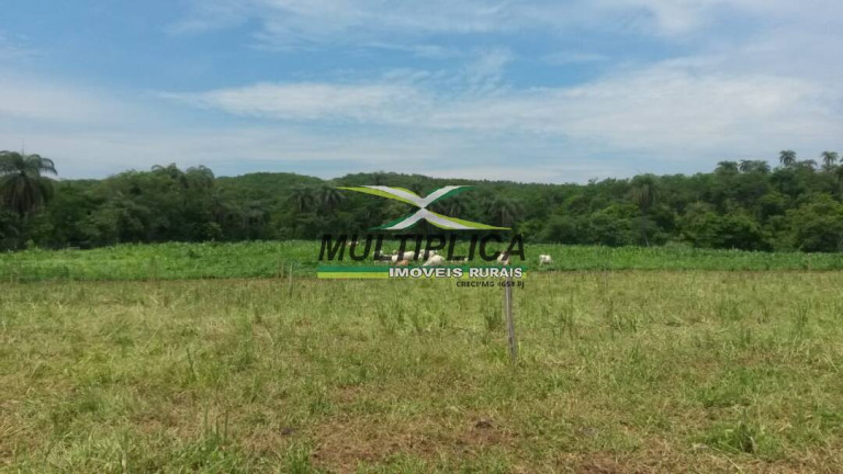 Imagem Fazenda à Venda, 460 m² em Centro - São Gonçalo Do Abaeté Imagem Fazenda à Venda, 460 m² em Centro - São Gonçalo Do Abaeté