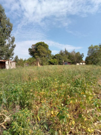 Imagem Imóvel com 3 Quartos à Venda, 130.000 m² em Cantagalo - Antônio Olinto