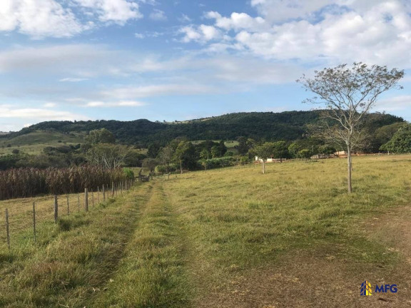 Imagem Fazenda à Venda, 5 m² em área Rural - Avaré Imagem Fazenda à Venda, 5 m² em área Rural - Avaré