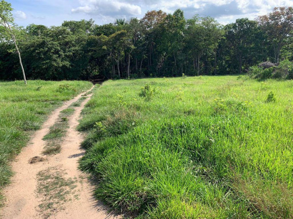 Fazenda à Venda, 22 m² em Zona Rural - Palmeiras De Goiás