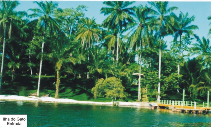 Imagem Casa com 8 Quartos à Venda, 50.000 m² em Tapuia - Camamu