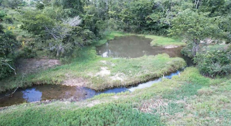 Imagem Fazenda à Venda, 4.300.000 m² em Centro - Pimenta Bueno Imagem Fazenda à Venda, 4.300.000 m² em Centro - Pimenta Bueno