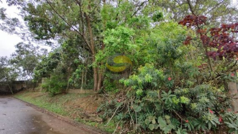 Imagem Terreno à Venda, 3.000 m² em Paisagem Renoir - Cotia Imagem Terreno à Venda, 3.000 m² em Paisagem Renoir - Cotia