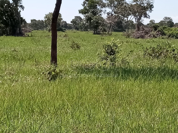 Fazenda à Venda,  em Zona Rural - Caceres
