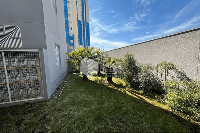 Imagem Apartamento com 3 Quartos à Venda, 60 m² em Vila Bela - São Paulo Imagem Apartamento com 3 Quartos à Venda, 60 m² em Vila Bela - São Paulo