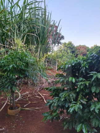 Imagem Imóvel com 2 Quartos à Venda, 100 m² em Zona Rural - Ibiporã Imagem Imóvel com 2 Quartos à Venda, 100 m² em Zona Rural - Ibiporã